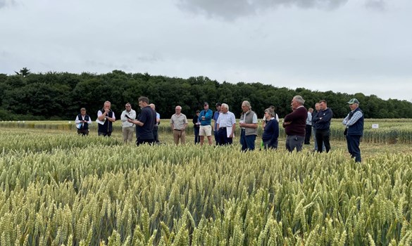 arable connections 20